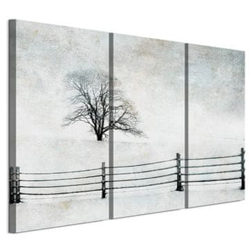shumee Slika na italijanskem platnu 90 x 60 cm triptih - minimalističen slog - narava Slika na italijanskem platnu 120 x 80 cm triptih - minimalističen slog - narava