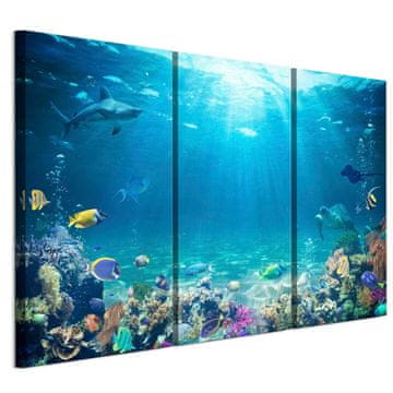 shumee Slika na italijanskem platnu 90 x 60 cm triptih - živali Slika na italijanskem platnu 135 x 90 cm triptih - živali