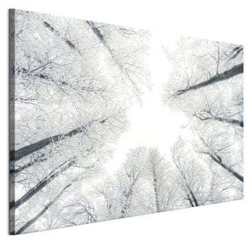 shumee Slika na italijanskem platnu 90 x 60 cm - skandinavski slog - narava Slika na italijanskem platnu 120 x 80 cm - skandinavski slog - narava