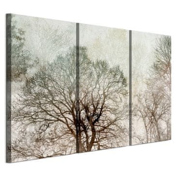 shumee Slika na italijanskem platnu 90 x 60 cm triptih - klasični slog - narava Slika na italijanskem platnu 120 x 80 cm triptih - klasični slog - narava