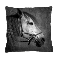Bertoni Vzglavnik - MISTRAL 40x40 cm