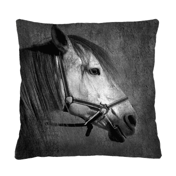 Bertoni Vzglavnik - MISTRAL 40x40 cm