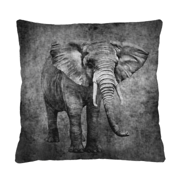 Bertoni Vzglavnik - KONGO 40x40 cm