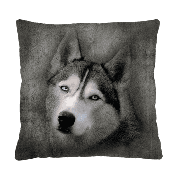 Bertoni Vzglavnik - HUSKY 40x40 cm