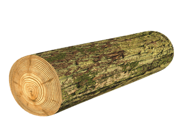 Bertoni Valjasta blazina - Mossy Ø16x55 cm