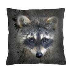Bertoni Blazina - RACOON - 40x40 cm