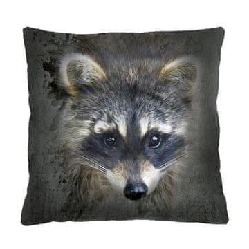 Bertoni Blazina - RACOON - 40x40 cm