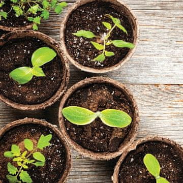Planta Okrogli lončki za rastline 6 cm, 24 kosov. PLANTA