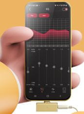 Fiio FiiO x SNOWSKY Tiny A - zlat - Ojačevalnik za slušalke z DAC (USB-C + 3,5 mm vhod)