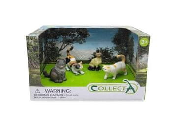 COLLECTA Zbirka 4 figuric mačk Siamske domače mačke V paketu 84218 3+