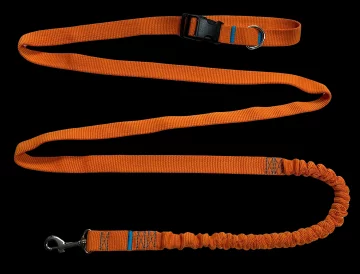 Povodec za pse z amortizerjem 280 cm ORANŽEN, nastavljiv športni