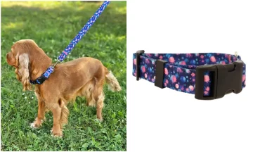 shumee Nastavljiva ročno izdelana ovratnica za pse Astro World Nastavljiva ročno izdelana ovratnica za pse Astro World Velikost: 26-35 cm
