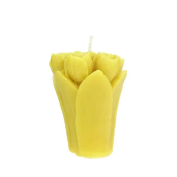 shumee Dekorativna sveča (tulipan)
