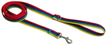 shumee Tradicionalni pasji povodec 2,5 cm z mavrično zaporo Tradicionalni pasji povodec 2,5 cm z mavrično zaporo XXL - 3 m