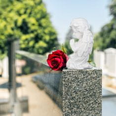 Northio Nagrobni angel moli