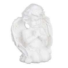 Northio Nagrobni angel moli