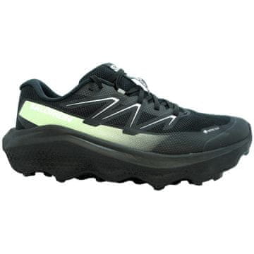 Salomon Čevlji Salomon Ultra Flow 2 Gtx 479814