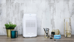 Cecotec Razvlažilnik zraka Cecotec Bigdry 2500 Essential 360