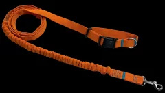 Povodec za pse z amortizerjem 280 cm ORANŽEN, nastavljiv športni