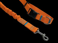 Povodec za pse z amortizerjem 280 cm ORANŽEN, nastavljiv športni