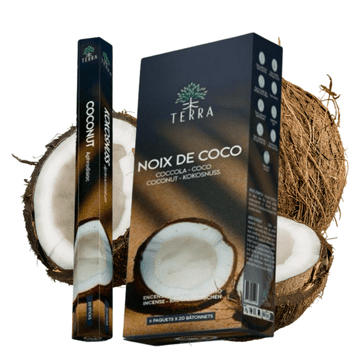 TERRA Kadilne palčke Terra Coconut 20 kosov s cimetom