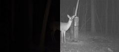 SJCAM Kamera ZA sodnega izvršitelja sjcam A10 telesna kamera IP65 USB-C