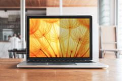 3M 3M Zaščitna folija za zaslon za MacBook Air 13 M2-M4, 16:10, BPNAP006