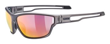 Uvex Uvex 5330872213 športna očala Unisex, polni okvir, siva