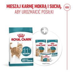 ROY ROYAL CANIN Ageing 11+ Sterilised - suha hrana za mačke - 4kg