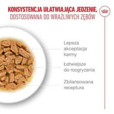 ROY ROYAL CANIN Ageing 11+ Chunks in gravy - mokra hrana za mačke - 12x85g
