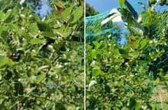 GARDEN LINE Zaščitna mreža za ptice Gardenline 8 x 14M + 16 klinov LAR1862