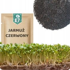 shumee 51Seed E07 semena ZA kalčke - RDEČI ruski ohrovt 10G