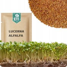 shumee 51Seed E11 semena ZA kalčke - lucerna 20G