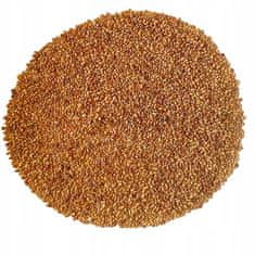 shumee 51Seed E11 semena ZA kalčke - lucerna 20G