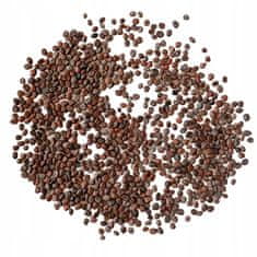 shumee 51Seed E18 semen za kalčke - RDEČA redkev hurikan 10G