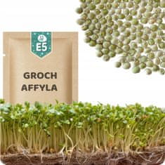 shumee 51Seed E05 semena ZA KALJENJE - Affyla sladkorni grah 50G