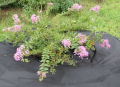 GARDEN LINE Agrotekstil proti plevelu Gardenline 1x10M črne barve 50G AGO2166