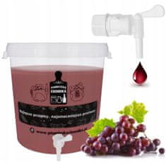 GARDEN LINE Gardenline posoda za fermentacijo 30L s pokrovom in pipo JOK5048