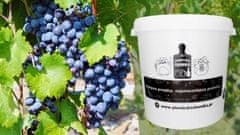 GARDEN LINE Gardenline posoda za fermentacijo 30L s pokrovom in pipo JOK5048