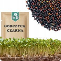 shumee 51Seed E06 kalčki črne gorčice 20G