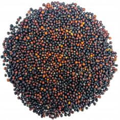 shumee 51Seed E06 kalčki črne gorčice 20G