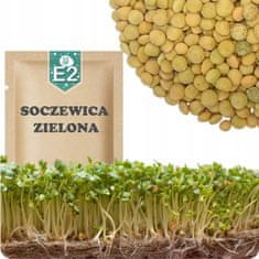 shumee 51Seed E02 semena za kaljenje zelene leče 20G