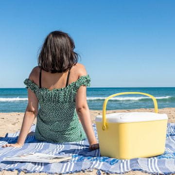 InnovaGoods Prenosni trdi hladilnik Lilty InnovaGoods 15 L