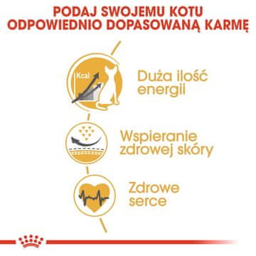 ROYAL Royal Canin Sphynx - suha hrana za sfinks mačke, 2 kg