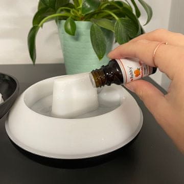 slomart Set 6 oljnih dišav 10ml RUHHY