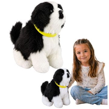 slomart Interaktivni plišasti kuža Border Collie LEAN TOYS, črno-bel, laja in maha z repom