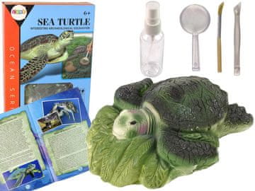 slomart LEAN TOYS Komplet za izkopavanje "Morski svet: Želva" z amoniti