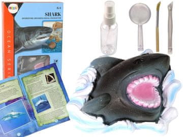 slomart LEAN TOYS Komplet za izkopavanje "Morski svet: Žralok" z amoniti