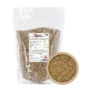 Semena pegastega badlja 1 kg