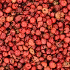 Rdeči poper v zrnu 100 g